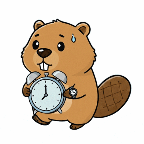 🦫ルーティンビーバー