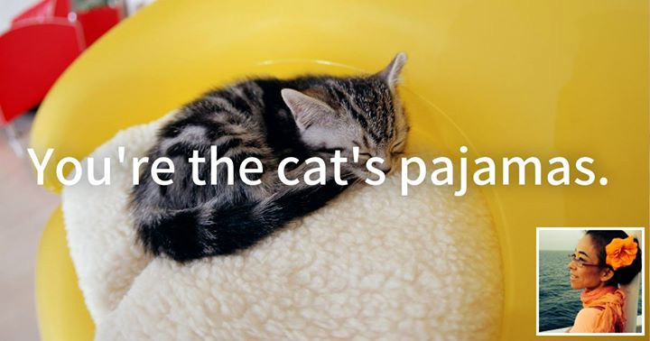 You're the cat's pajamas.