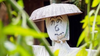直訳したら全然意味が違った ワールドトークブログ 直訳したら全然意味が違った ワールドトークブログ