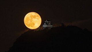 【英検対象】コソコソ噂話！【猪突猛進！！猪突猛進！！】【単語と長文読解】を同時にめった刺し攻略！！【二刀流、伊之助に学ぶ『文単』活用術！！！】