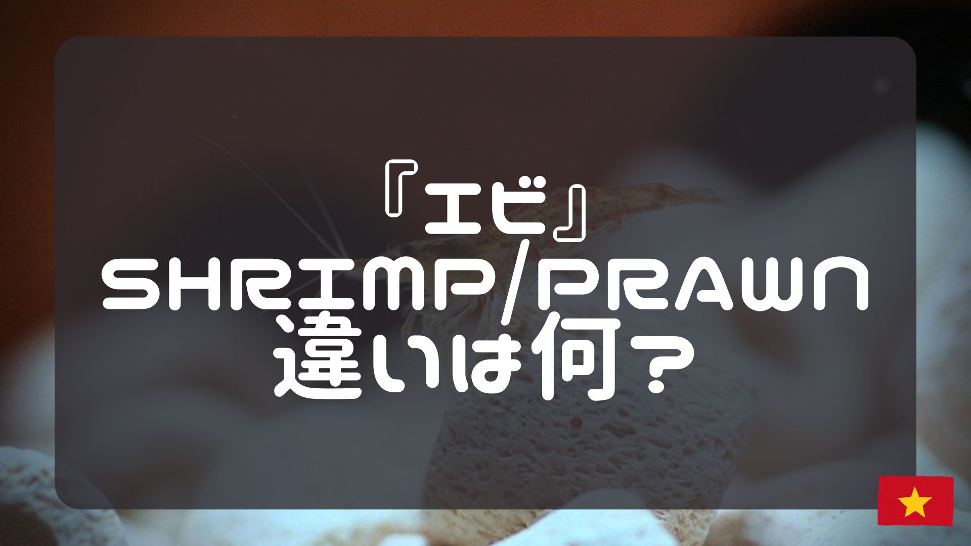 エビ』Shrimp/Prawn違いは何？｜ワールドトークブログ