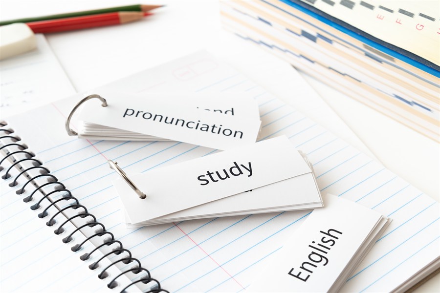 幼児期からの英語教育は意味ある?科学的に見たメリットと注意点|幼児教育メリット (3)